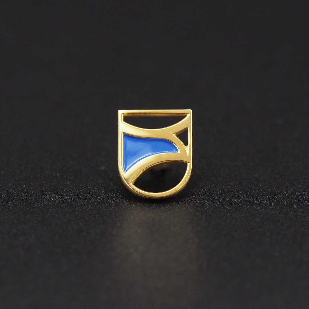 Pin's Passion-Gouden-Kiekendief-Speld-Blauw-14-Karaat-Goud-Outline