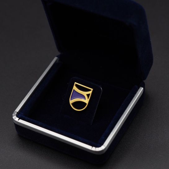Pin's Passion-Gouden-Kiekendief-Provincie-Flevoland-14-Karaat-Goud