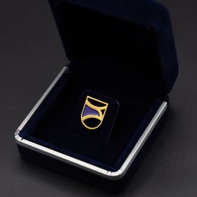 Pin's Passion-Gouden-Kiekendief-Provincie-Flevoland-Outline-Gift Box