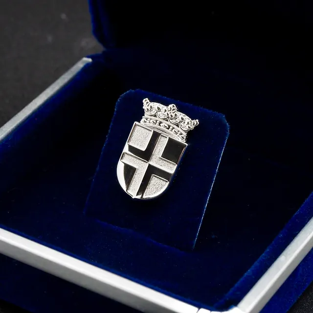 Speld Sint Michielsgestel - Koper 3-D Deluxe Pins - Platinum verguldsel