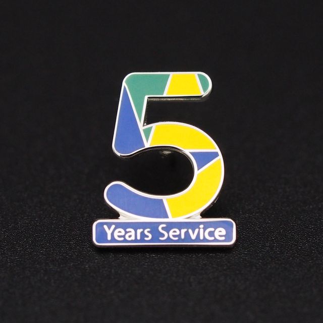 Europese School Den Haag, 5 Years Service Pins in Outline met huisstijl kleuren
