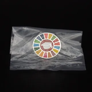 Pin's Passion-Polybag