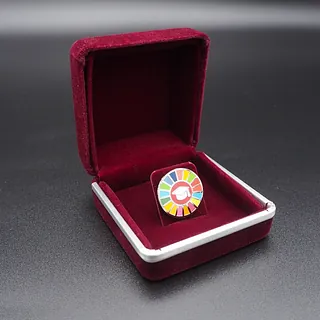 Pin's Passion-Velours-gift-box-Deluxe-Red-Pins