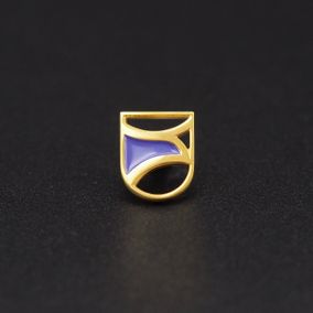 Pin's Passion-Gouden-Kiekendief-Speld-Paars-14-Karaat-Goud-Outline