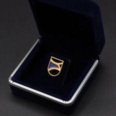 Pin 14-karaats goud